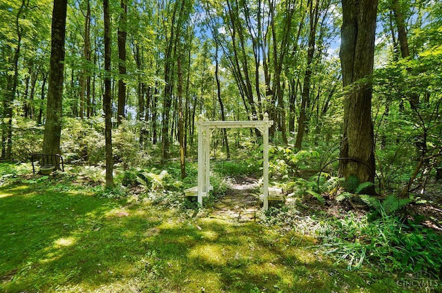 2193 Phillips Rd, Union Twp, OH 45036 - view of local wilderness