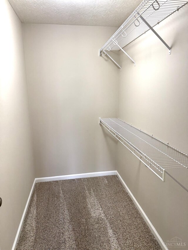 4572 Saddlecloth Ct, Batavia Twp, OH 45103 - spacious closet with carpet