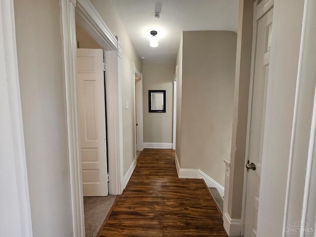 2002 Clarion Ave, Cincinnati, OH 45207 - hallway with dark wood-style flooring and baseboards