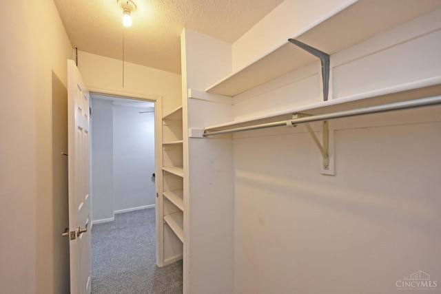 5 Spotswood Cmn, Union Twp, OH 45103 - spacious closet featuring carpet flooring
