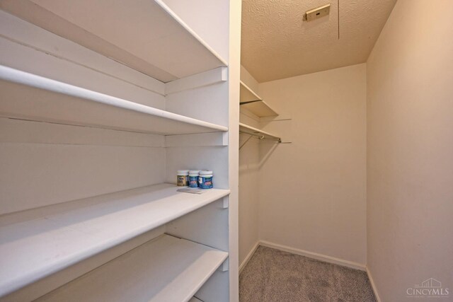 5 Spotswood Cmn, Union Twp, OH 45103 - walk in closet with carpet
