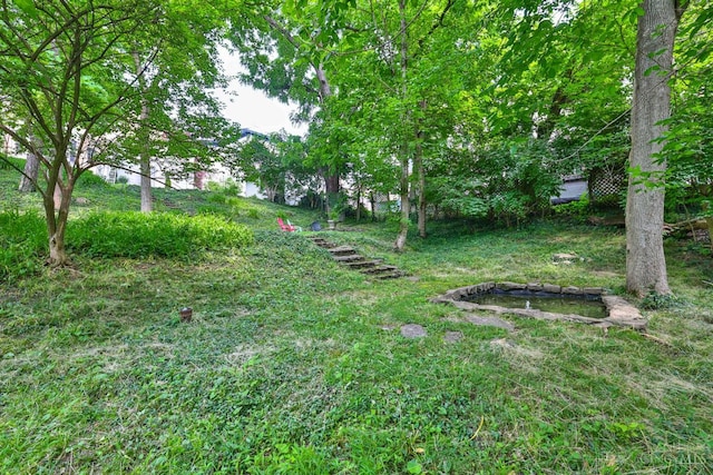 2334 Upland Pl, Cincinnati, OH 45206 - view of yard