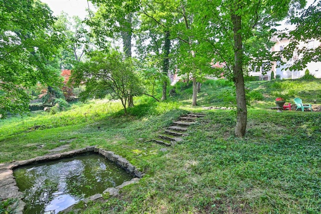 2334 Upland Pl, Cincinnati, OH 45206 - view of yard