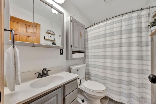 55 Kastrup Dr, Lakengren, OH 45320 - bathroom featuring toilet, vanity, and curtained shower