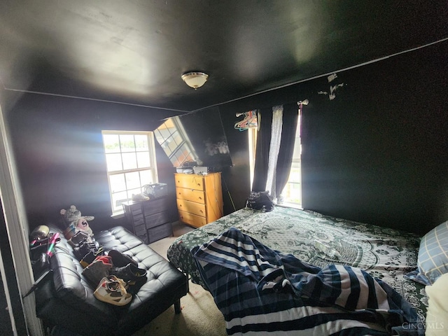 223 Park St, Middletown, OH 45044 - view of carpeted bedroom