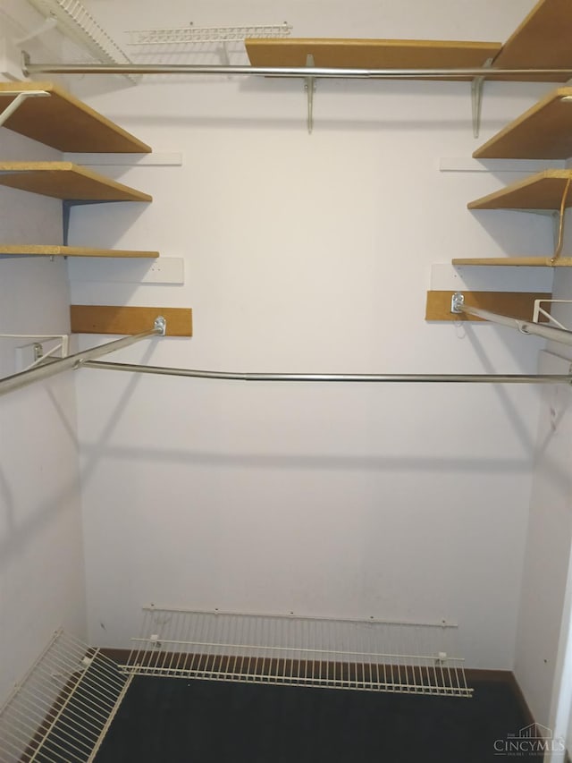5292 Eaglesnest Dr Unit 41, Green Twp, OH 45248 - view of spacious closet