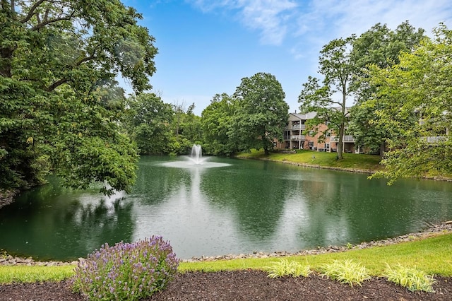 3721 W Galbraith Rd Unit A-2, Cincinnati, OH 45247 - water view