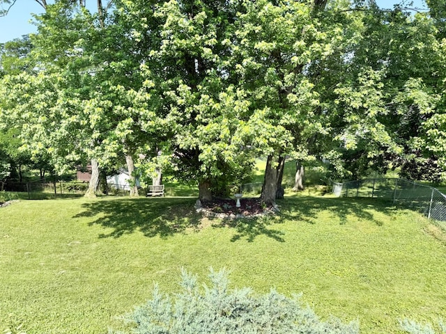 4375 Airycrest Ln, Cincinnati, OH 45211 - view of yard