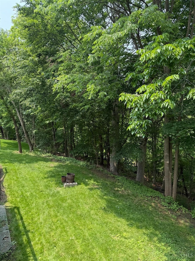 8030 Deershadow Ln, Montgomery, OH 45242 - view of grassy yard