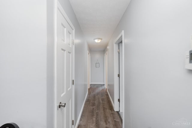 13726 New Harmony Shiloh Rd, Pike Twp, OH 45154 - hallway with dark wood finished floors and a textured ceiling