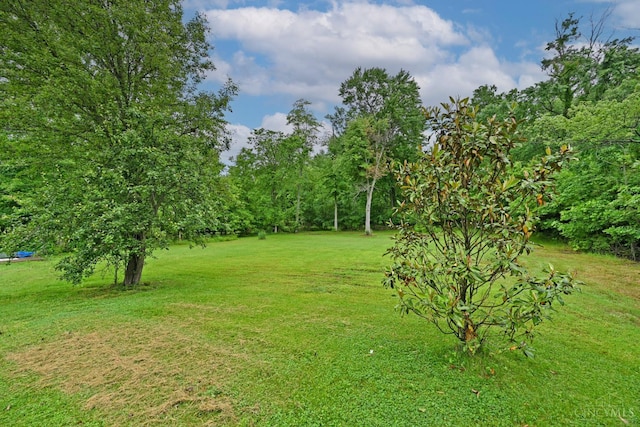 1432 Clough Pike, Batavia Twp, OH 45103 - photo 50