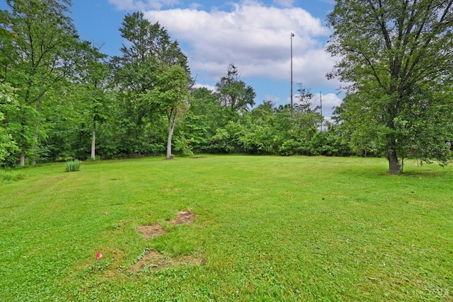 1432 Clough Pike, Batavia Twp, OH 45103 - photo 53