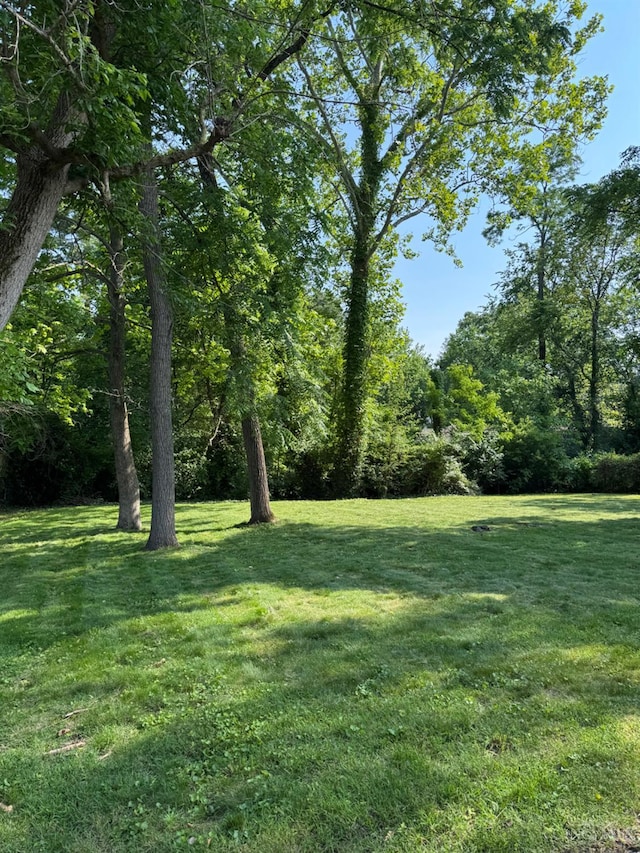 9820 Mckelvey Rd, Springfield Twp, OH 45231 - photo 9