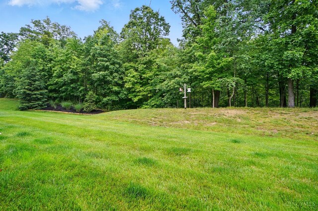 3492 Ballymore Ct, Pierce Twp, OH 45245 - view of green lawn featuring a view of trees