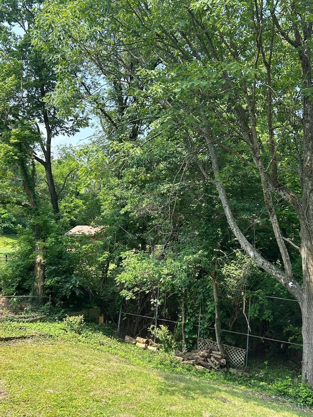 3501 Mcfarlan Rd, Cincinnati, OH 45211 - view of yard