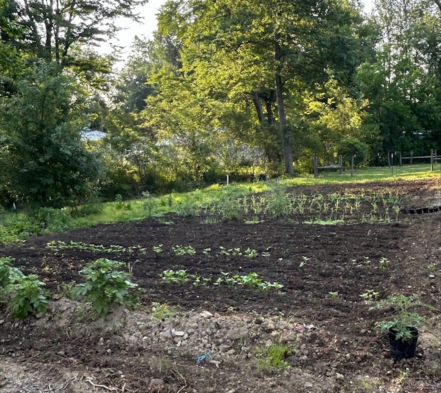 6226 Hunt Rd, Wayne Twp, OH 45118 - view of yard