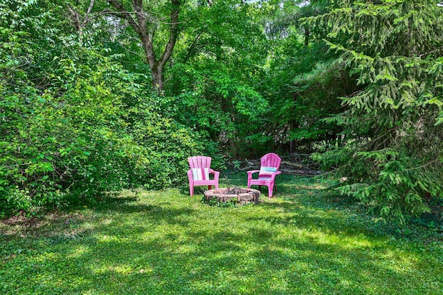 10730 Adventure Ln, Montgomery, OH 45242 - view of green lawn with a fire pit