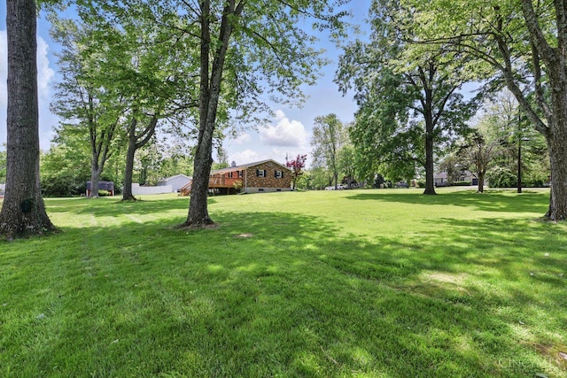 1704 Ludlow Cir, Pierce Twp, OH 45102 - view of green lawn