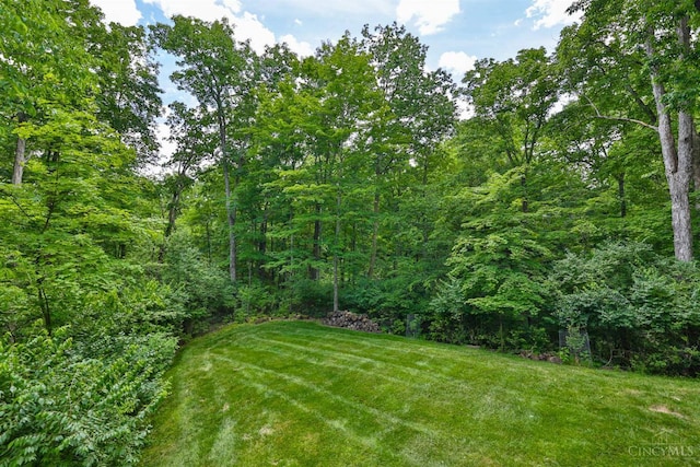9396 Kemper Grove Ln, Symmes Twp, OH 45140 - view of grassy yard featuring a forest view