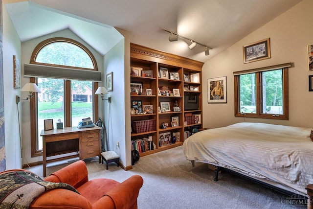 9396 Kemper Grove Ln, Symmes Twp, OH 45140 - carpeted bedroom featuring track lighting and high vaulted ceiling