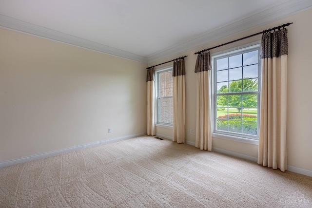 7194 Orchard View Ln, Salem Twp, OH 45152 - empty room with crown molding and light colored carpet