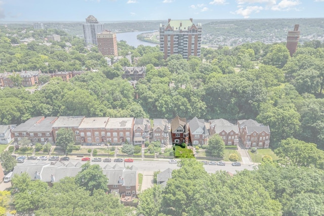 2110 Fulton Ave Unit D1, Cincinnati, OH 45206 - bird's eye view of a nearby body of water and a tree filled landscape