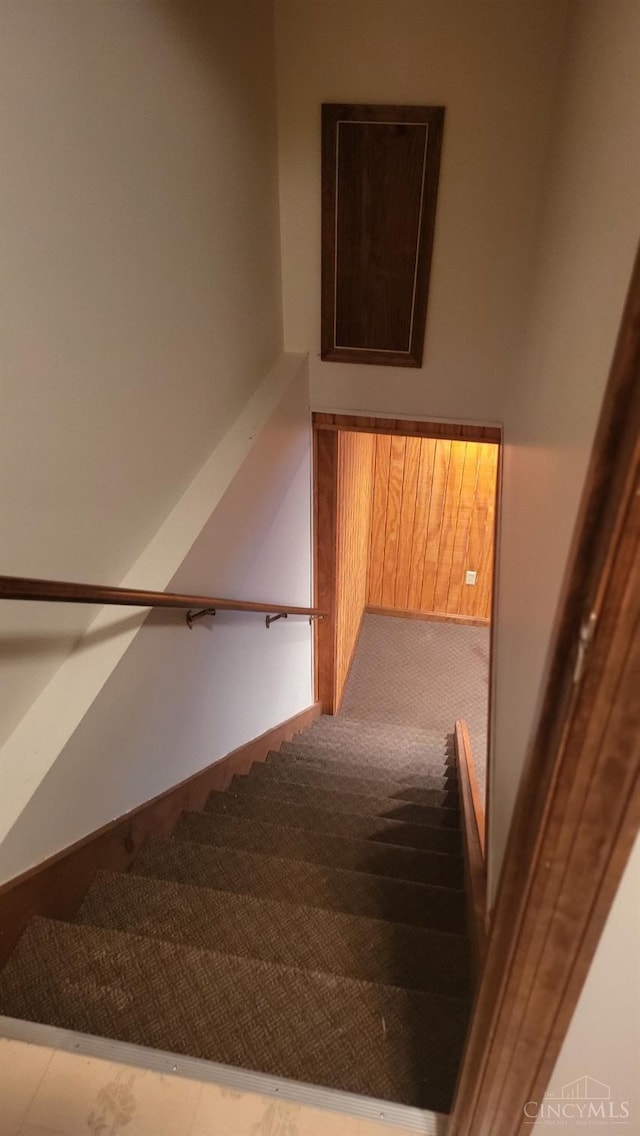10 Chippewa Cv, Sardinia, OH 45171 - stairway featuring carpet