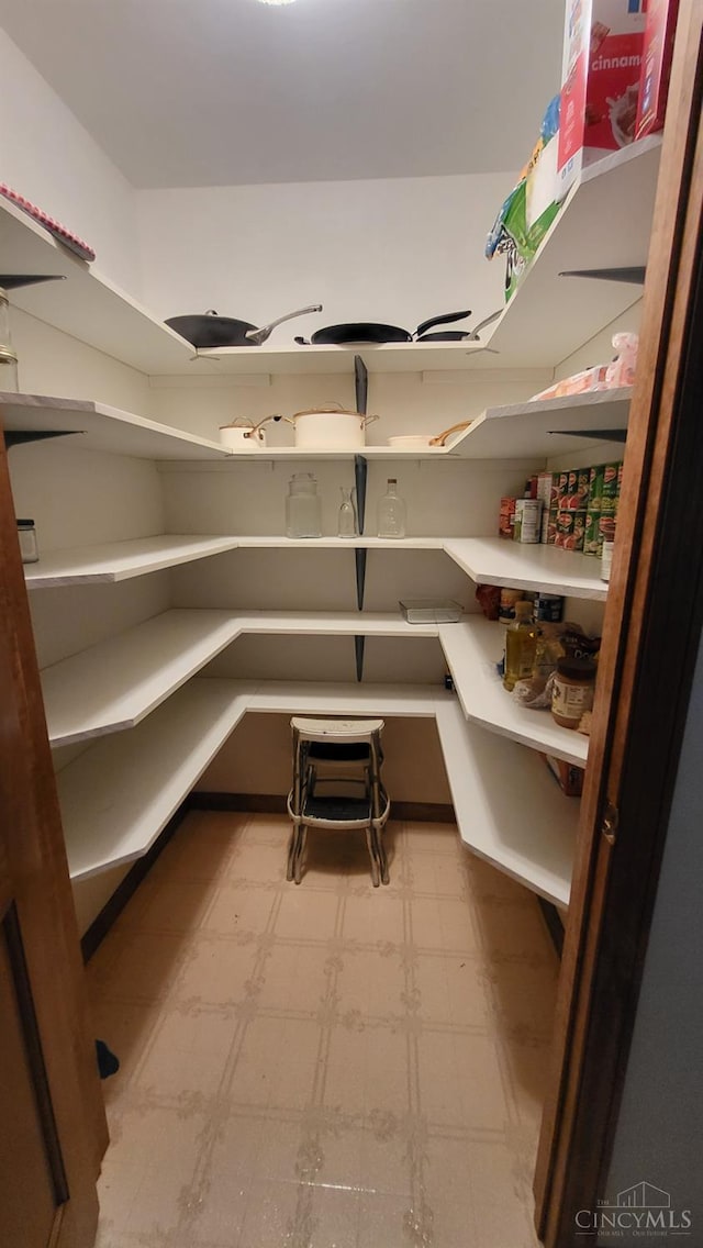 10 Chippewa Cv, Sardinia, OH 45171 - view of pantry