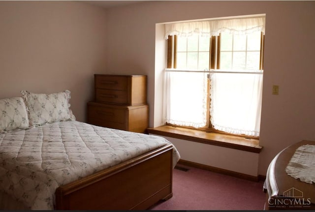 10 Chippewa Cv, Sardinia, OH 45171 - carpeted bedroom featuring baseboards