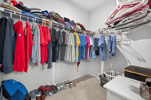 1285 Millstream Dr, Batavia Twp, OH 45102 - spacious closet featuring carpet