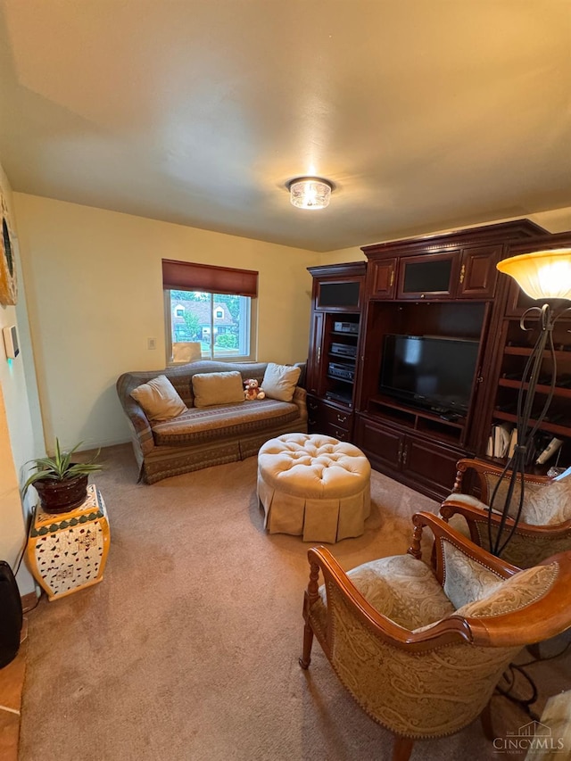 3969 S Fordham Pl, Silverton, OH 45213 - living room with carpet