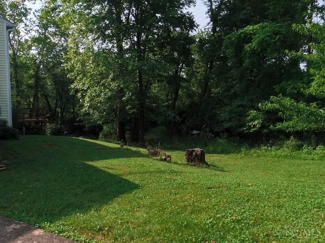 1601 W Concord Rd, Pierce Twp, OH 45102 - view of grassy yard