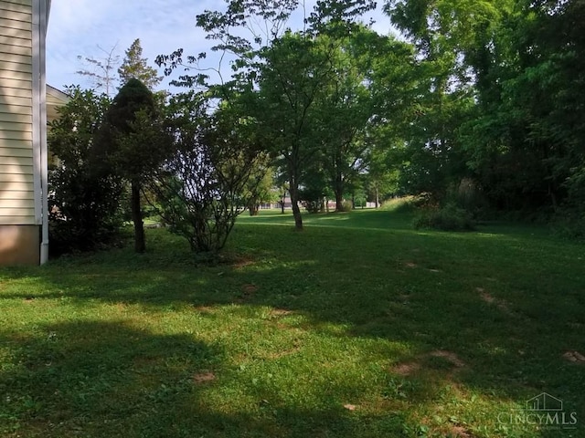 1601 W Concord Rd, Pierce Twp, OH 45102 - view of green lawn