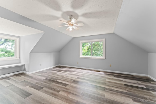 405 Hyde Park Dr, Hamilton, OH 45013 - additional living space with plenty of natural light, wood finished floors, ceiling fan, lofted ceiling, and a textured ceiling