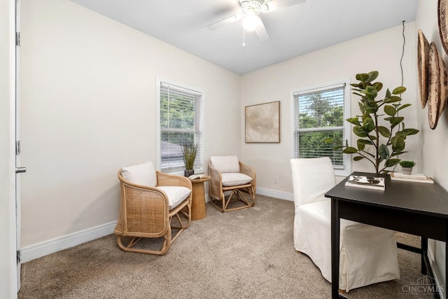 6213 Coleridge Ave, Cincinnati, OH 45213 - office featuring carpet floors, a ceiling fan, and plenty of natural light