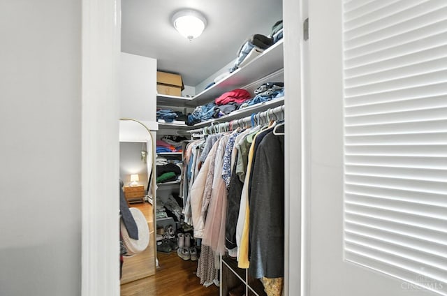 3862 Settle Rd, Mariemont, OH 45227 - spacious closet with wood finished floors