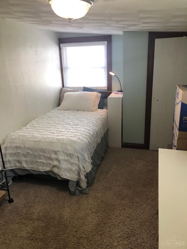 316 W S St, Hillsboro, OH 45133 - carpeted bedroom with a closet