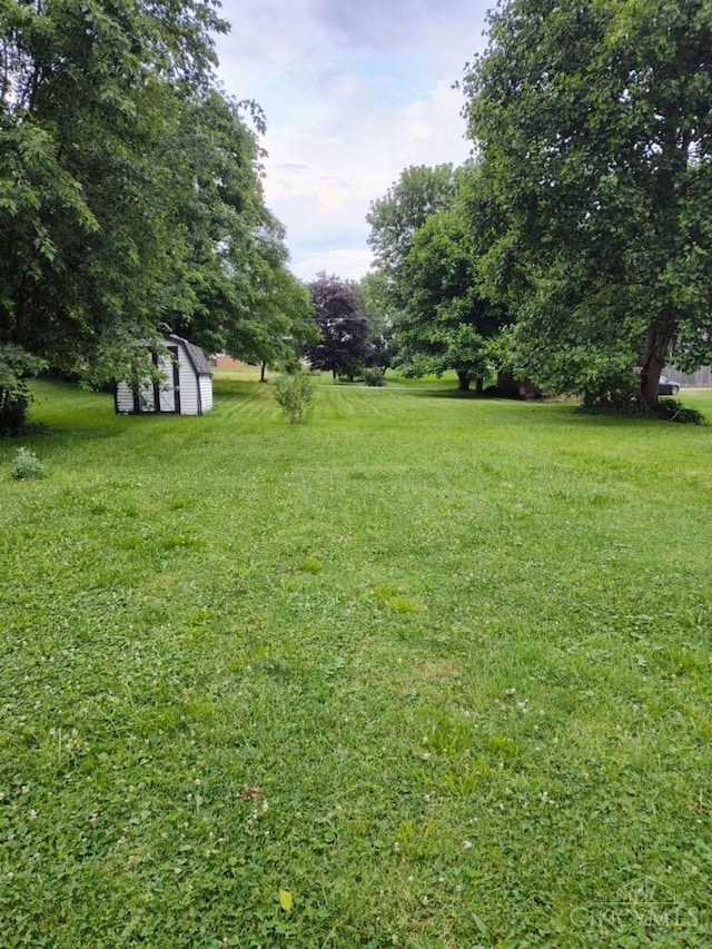 316 W S St, Hillsboro, OH 45133 - view of grassy yard featuring a storage shed