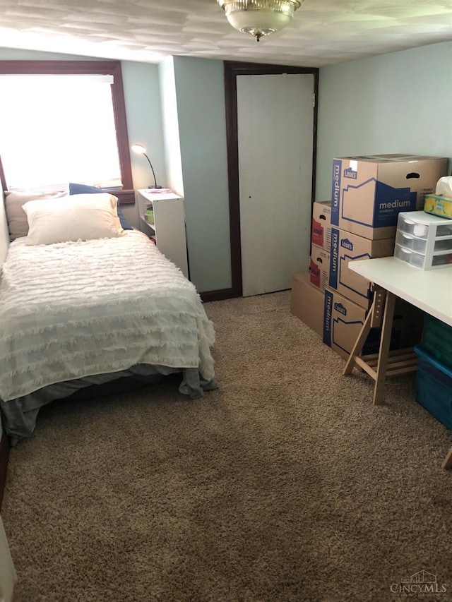 316 W S St, Hillsboro, OH 45133 - bedroom with carpet flooring