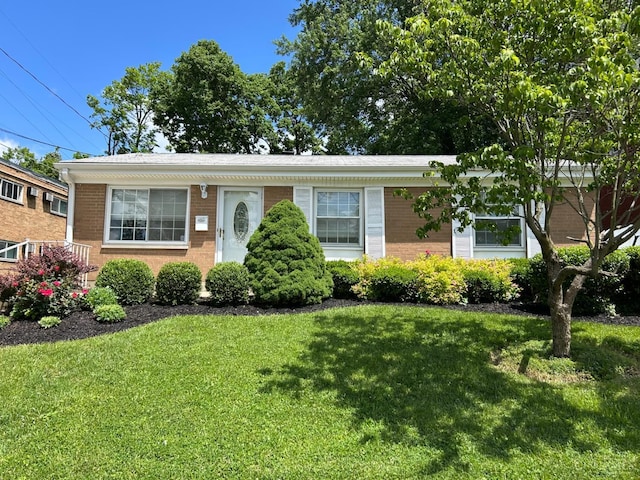 3744 Dina Ave, Cheviot, OH 45211 - view of front of property with brick siding and a front lawn