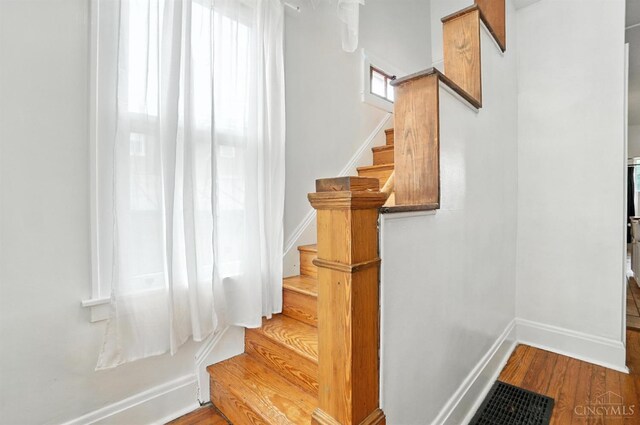 343 Ada St, Cincinnati, OH 45219 - photo 30