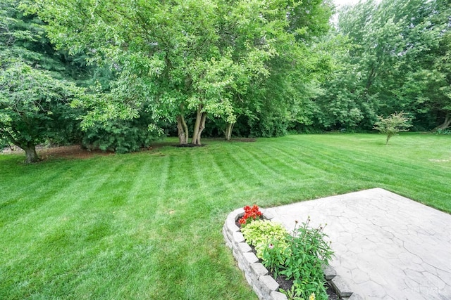 3779 Windyhollow Way, Mason, OH 45040 - view of grassy yard featuring a patio