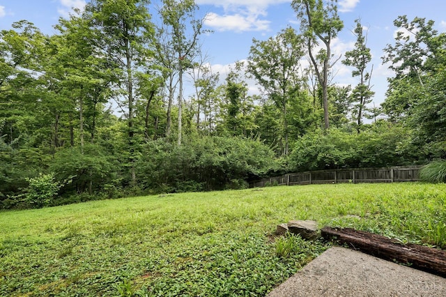 3057 Fox Den Ln, Anderson Twp, OH 45244 - view of yard