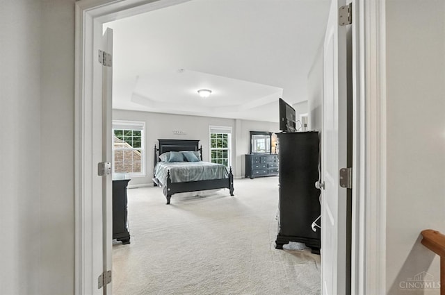 10285 Plantation Pointe Dr, Symmes Twp, OH 45140 - carpeted bedroom featuring a tray ceiling and baseboards
