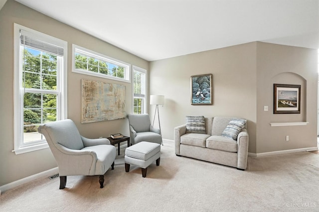 10285 Plantation Pointe Dr, Symmes Twp, OH 45140 - living area with baseboards and carpet