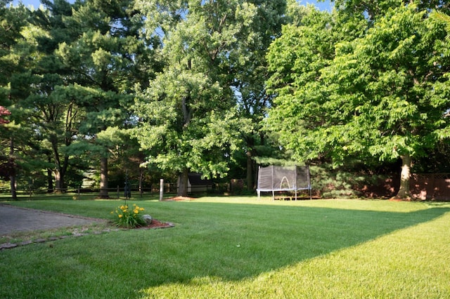 1662 W Kemper Rd, Springfield Twp, OH 45240 - view of yard with a trampoline and view of scattered trees