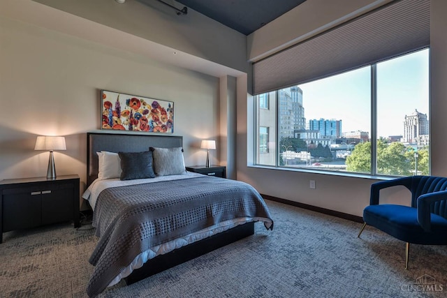 400 Pike St Unit 921, Cincinnati, OH 45202 - carpeted bedroom featuring baseboards and a view of city