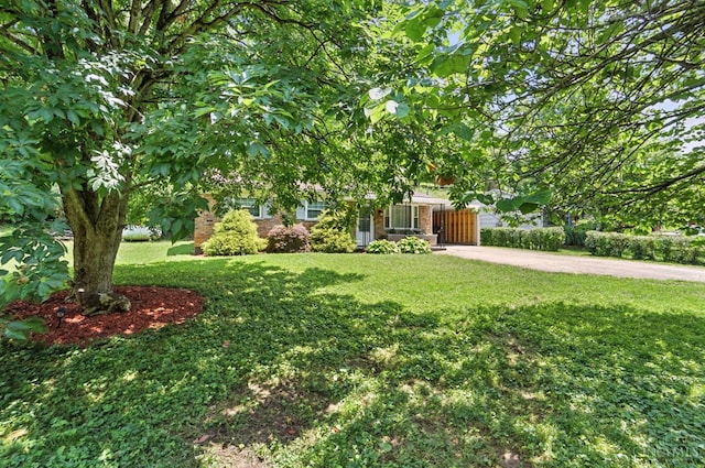 7104 Wesselman Rd, Miami Twp, OH 45002 - photo 4