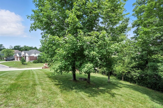 4870 Highland Oaks Dr, Green Twp, OH 45248 - view of grassy yard