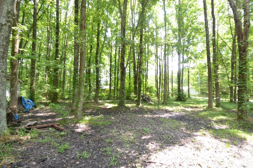 1475 Friendly Ln, Sterling Twp, OH 45176 - photo 4